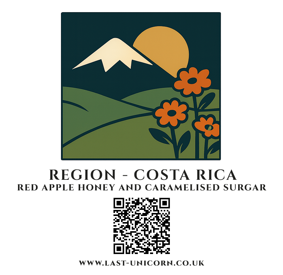 Solstice Bloom - Medium Light Roast