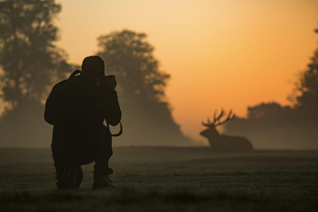 Wildlife Photography: Getting It Right Without Overcomplicating It