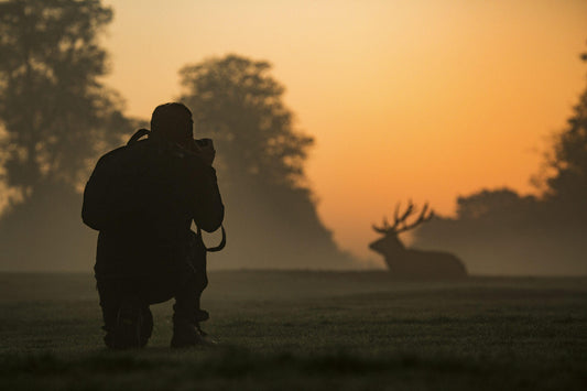 Wildlife Photography: Getting It Right Without Overcomplicating It